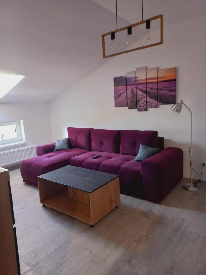Apartment Collot